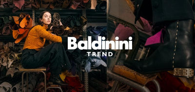 BALDININI TREND - Al Jamil 